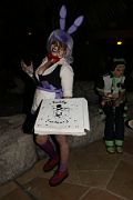 IMG_1955 