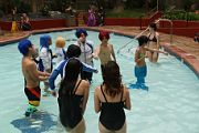 IMG_2331 