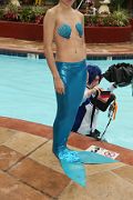IMG_2376 