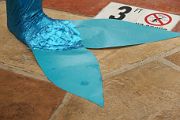 IMG_2378 