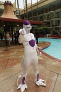 IMG_2387 
