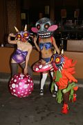 IMG_2590 