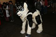 IMG_2605 