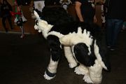 IMG_2610 