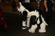 IMG_2613 