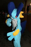 IMG_2619 