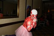 IMG_2854 