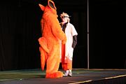 IMG_4860 