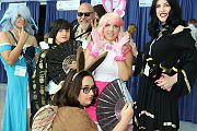 IMG_0010 