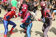 IMG_0205 