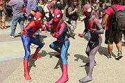IMG_0207 
