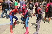 IMG_0210 