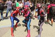IMG_0212 