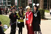 IMG_0295 