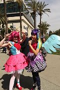 IMG_0327 