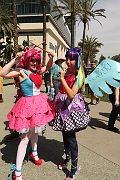 IMG_0331 