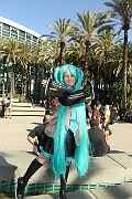 IMG_0145 