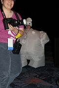 IMG_0318 
