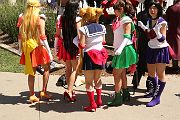 IMG_0384 