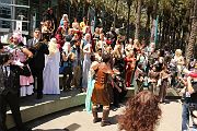 IMG_0437 