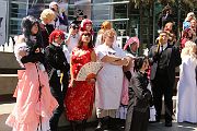 IMG_0445 