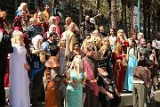 IMG_0447 