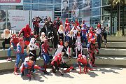 IMG_0946 
