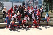 IMG_0951 