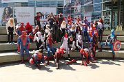 IMG_0952 