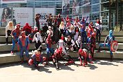 IMG_0953 