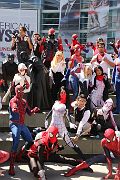 IMG_0958 