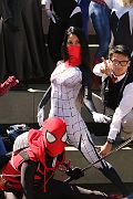 IMG_0962 