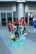 IMG_1179 