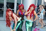 IMG_1181 