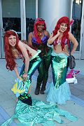 IMG_1185 