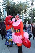 IMG_1203 