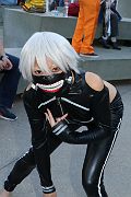IMG_1229 