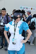 IMG_1233 