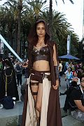 IMG_1250 