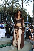 IMG_1251 