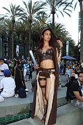 IMG_1255 