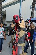 IMG_1277 