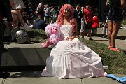 IMG_0291 