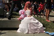 IMG_0293 
