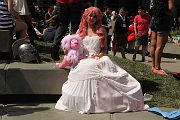 IMG_0294 