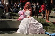 IMG_0295 