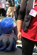 IMG_0381 
