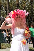 IMG_0518 