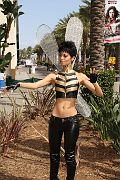 IMG_0654 
