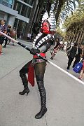 IMG_0717 